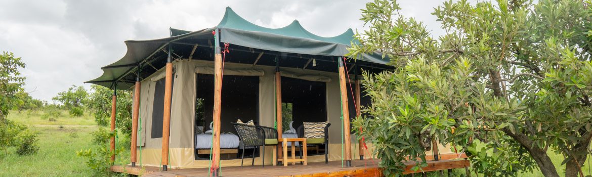 Baobab Mara Luxury Camp Tent