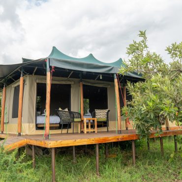 Baobab Mara Luxury Camp Tent