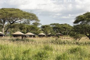 Camp Overview – Baobab Central – Baobab Lodges & Camps