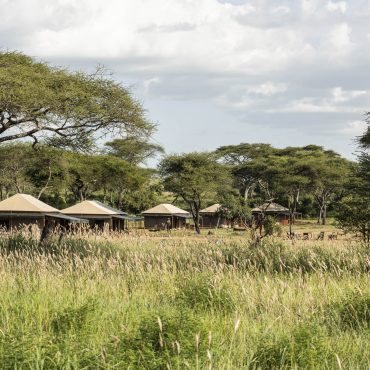 Baobab Camp Central Serengeti Overview