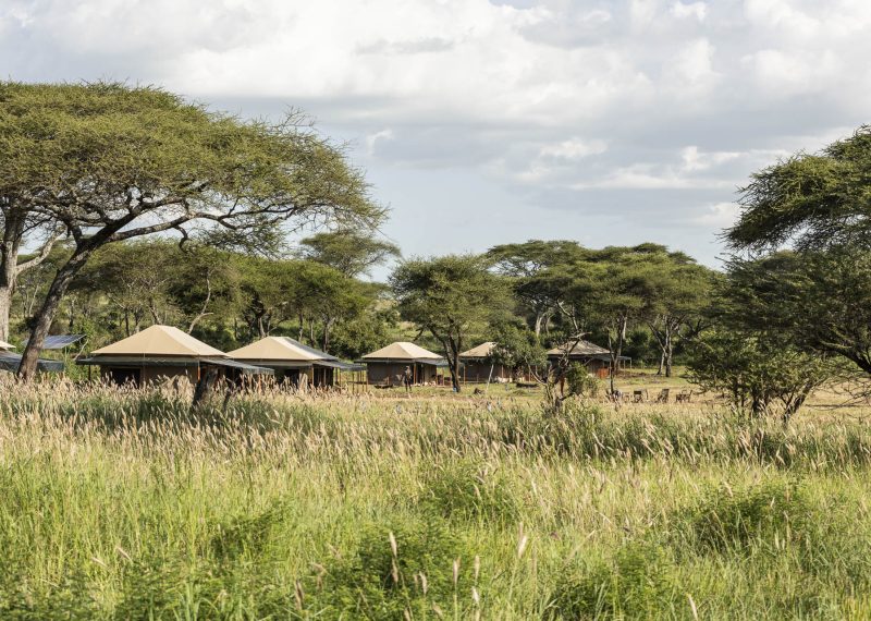 Baobab Camp Central Serengeti Overview