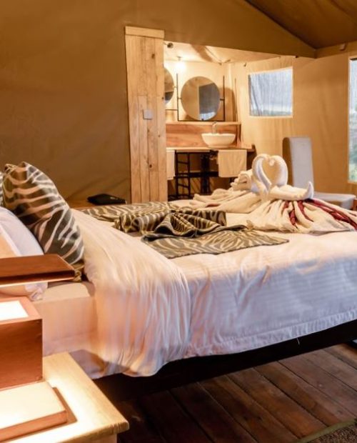 Double Room Tent Mara Luxury Camp