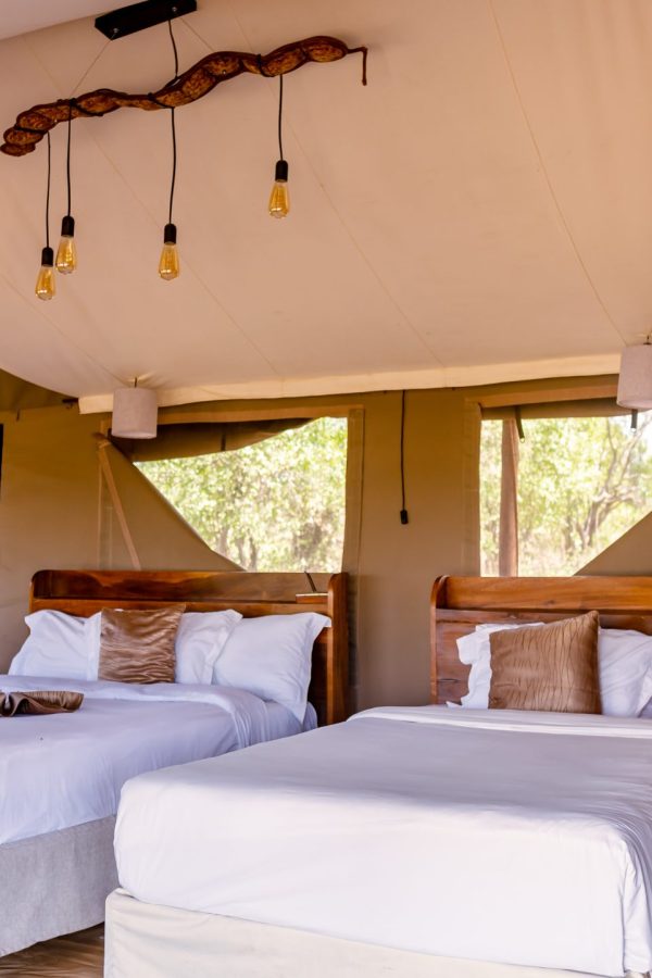 Bedroom in Baobabcamp Central Serengeti
